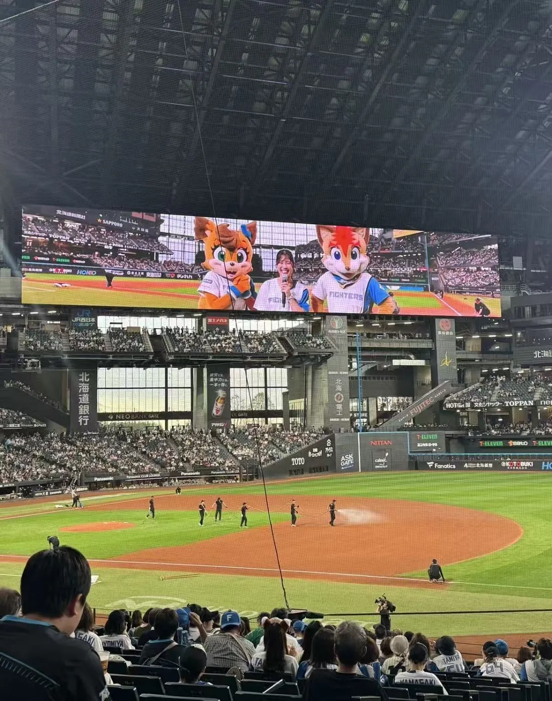 試合中の野球場と大型ビジョン